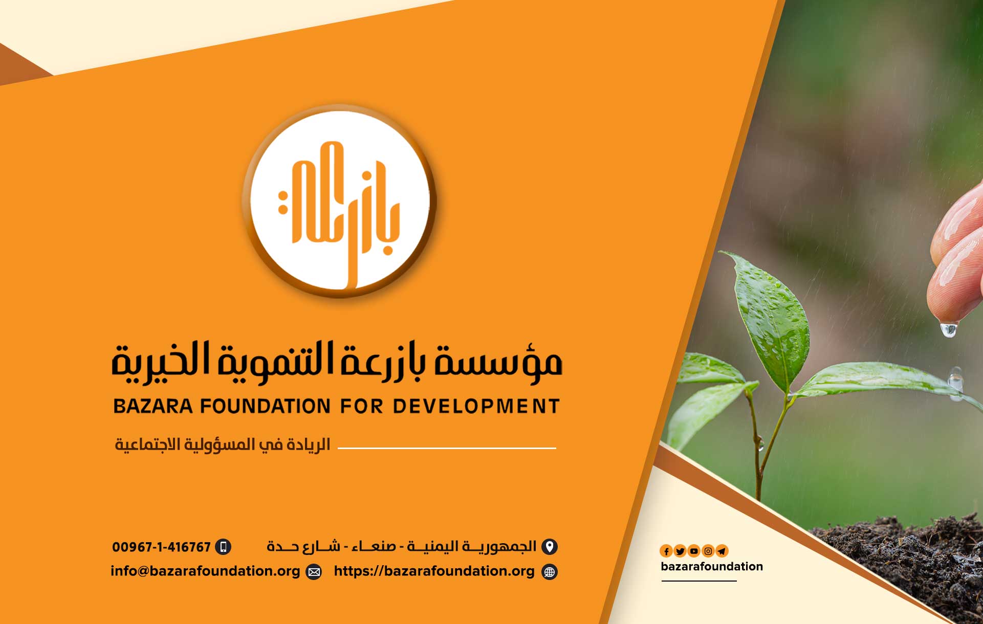 الرئيسية